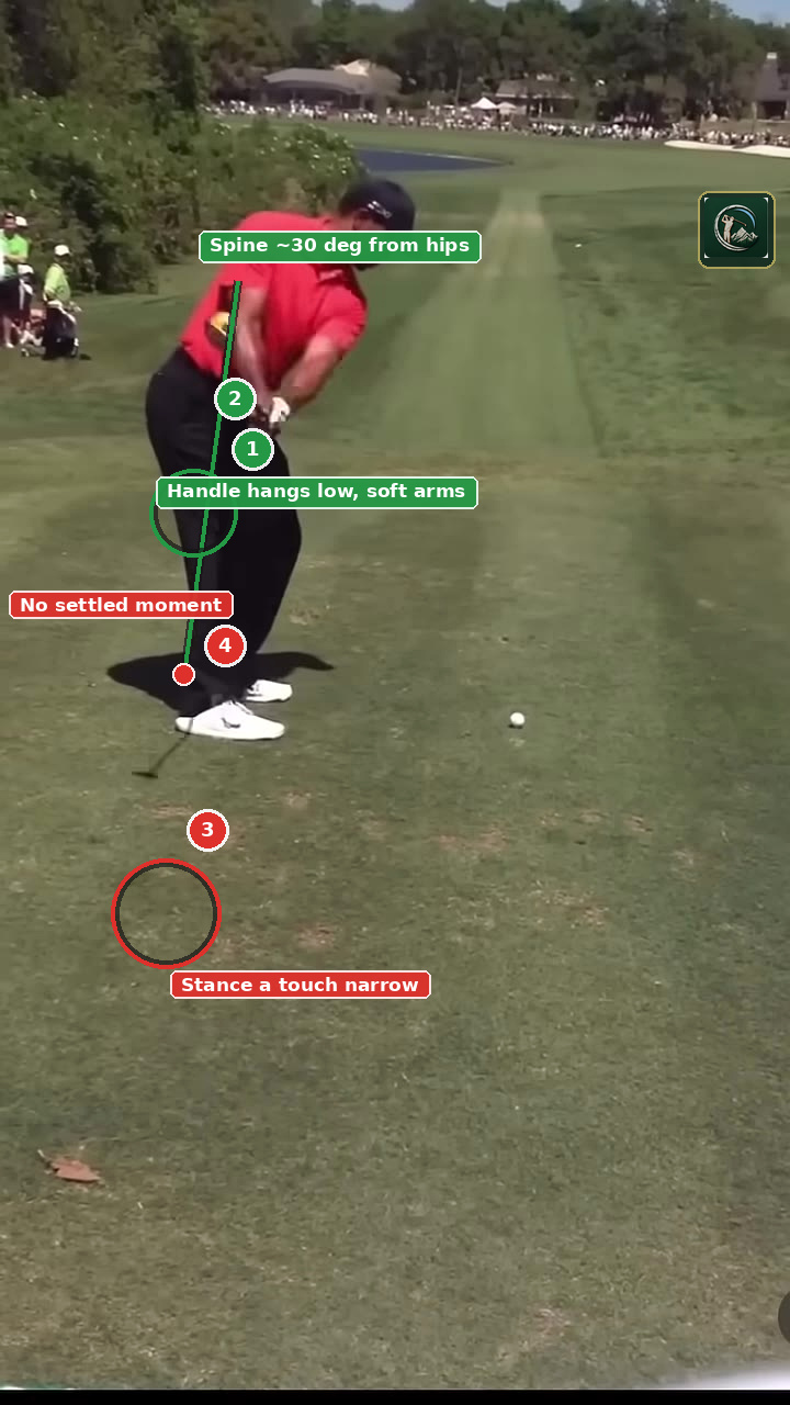 Annotated address / setup frame for Tiger Woods